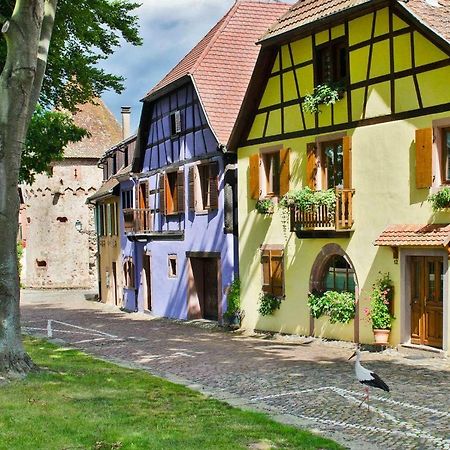 La Maison Jaune Ammerschwihr Dış mekan fotoğraf