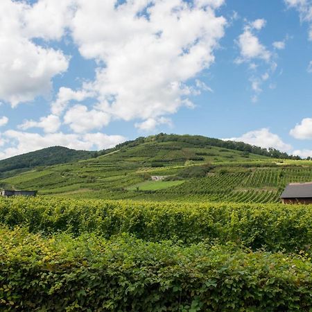 La Maison Jaune Ammerschwihr Dış mekan fotoğraf