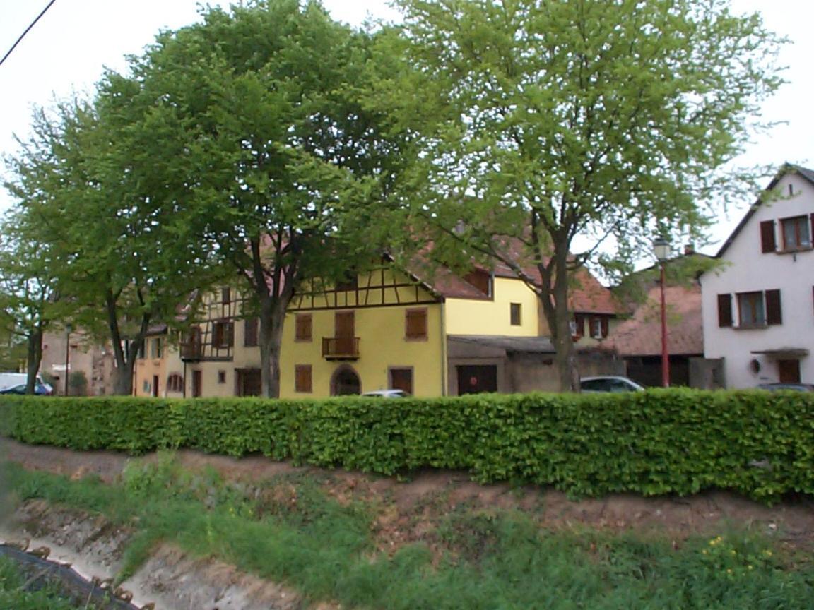 La Maison Jaune Ammerschwihr Dış mekan fotoğraf